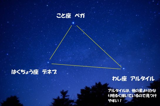 夏の大三角形の見つけ方や アルタイル デネブ ベガの神話とは 気になる話題 おすすめ情報館