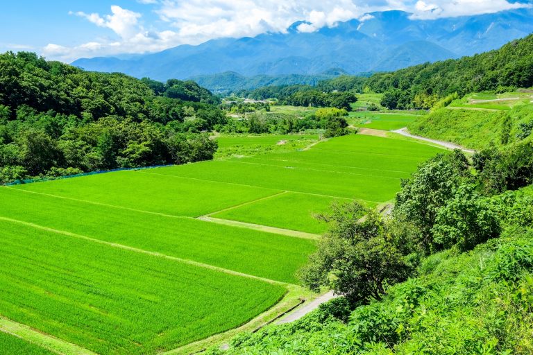 一町・一反とはどれぐらいの広さ？歩・畝・坪・畳・a・haの面積は 気になる話題・おすすめ情報館