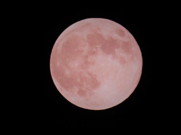 ストロベリームーン22年6月の満月はいつ見られる 名前の由来や周期 色は 気になる話題 おすすめ情報館